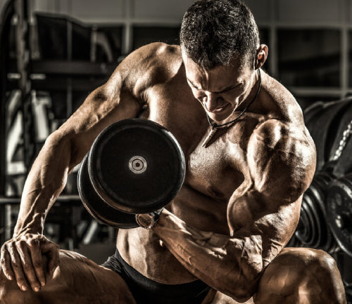 Vital Tips to Build Bigger Biceps