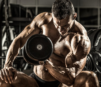 Vital Tips to Build Bigger Biceps