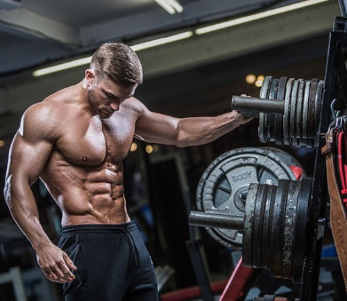 A Healthy Alternative to Animal Products: Plant-based Protein for Athletes