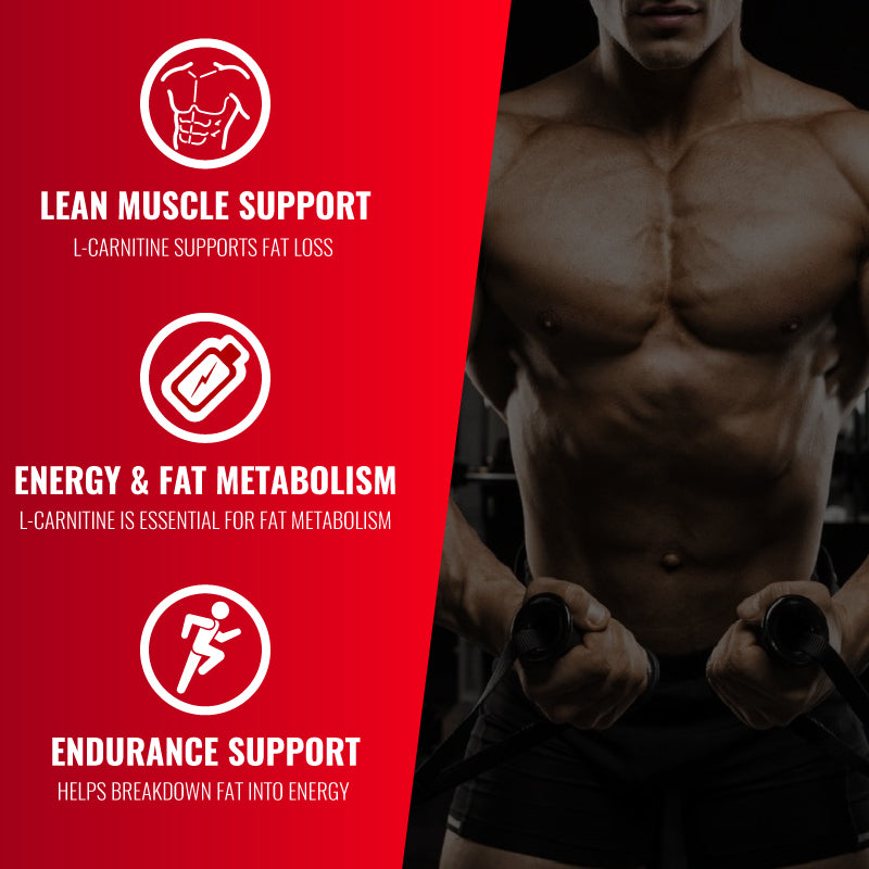 L-Carnitine 5000 L-Carnitine 5000