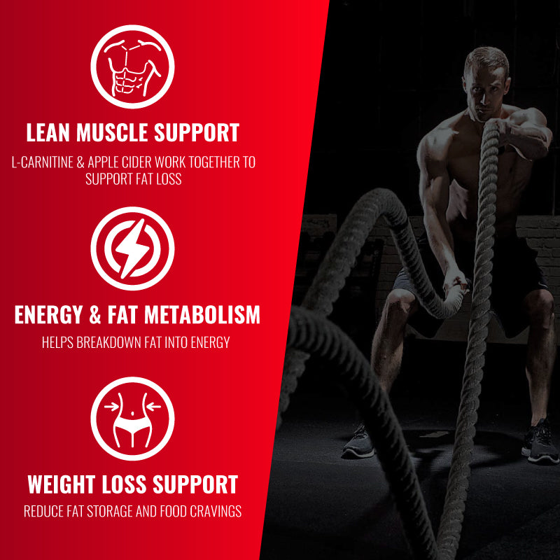 L-Carnitine with Apple Cider Vinegar EC Sports Supplements L-Carnitine with Apple Cider Vinegar EC Sports Supplements