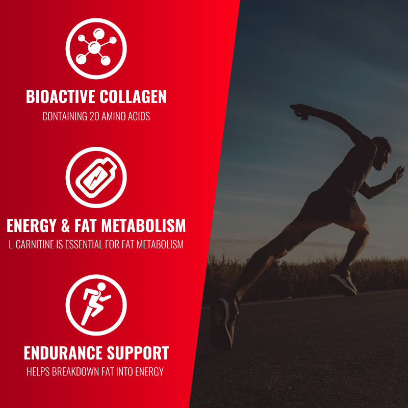 Protein + Carnitine Recovery 8000 - EC Sports Supplements Protein + Carnitine Recovery 8000 - EC Sports Supplements