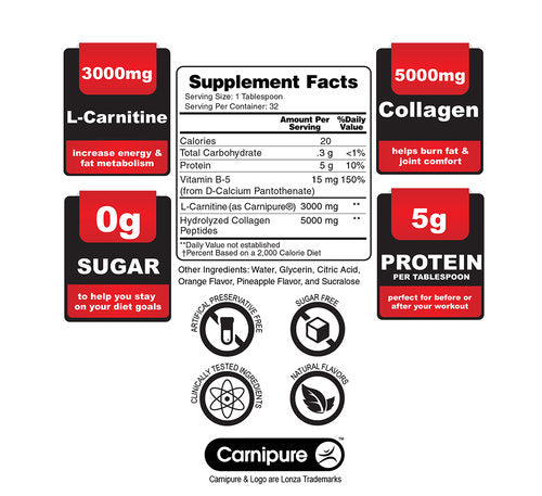 Protein + Carnitine Recovery 8000 - EC Sports Supplements Protein + Carnitine Recovery 8000 - EC Sports Supplements
